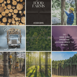 Instagram Forestal